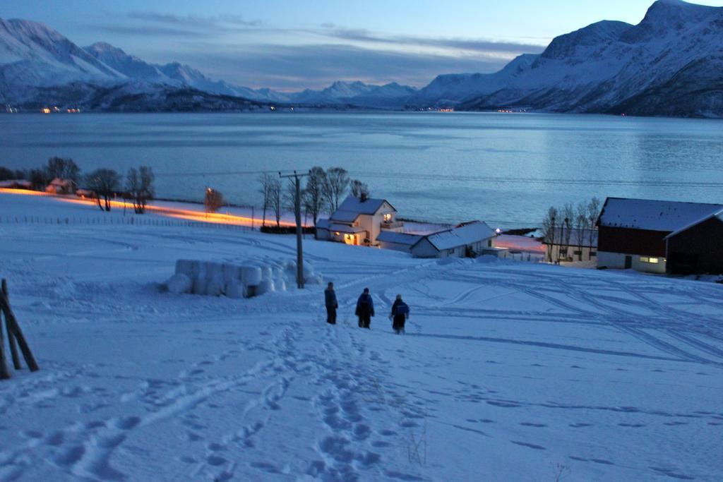 Solheim Fritidsgard Villa Svensby Oda fotoğraf
